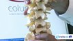 Lombalgia: conheça as principais causas de dores nas costas