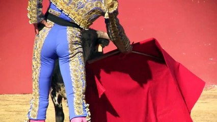 ALFONSO ALONSO  -NOVILLO MULETA