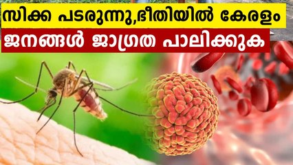 Thiruvananthapuram district reports 15 cases of Zika virus