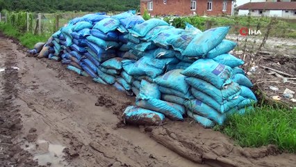 Sel felaketinin vurduğu bölgede 8 bin 800 civciv telef oldu