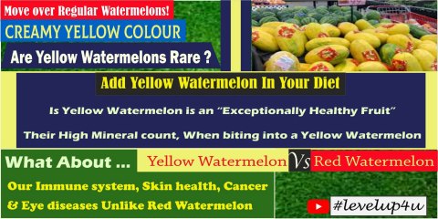 Yellow Watermelon Origin|Does Yellow Watermelon Taste Different|Yellow Watermelon Vs Red Watermelon Nutrition