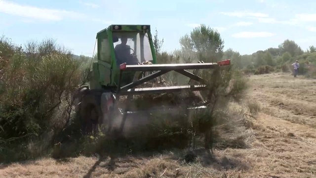 Martigues : ça défriche au Campéou