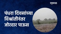 पंधरा दिवसांच्या विश्रांतीनंतर जोरदार पाऊस | Rain | Parbhani | Heavy Rain | Sakal Media |