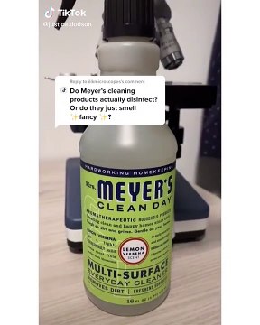 Il teste l'efficacité de différents désinfectants sur les bactéries !