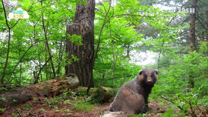 생방송 우리집 유치원 - 돌멩이 수프_#003
