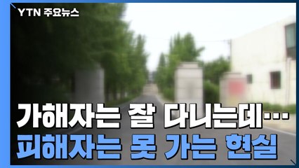 '전학 조치' 가해자가 학교에 다니고, 피해자는 못 가는 기막힌 현실 / YTN