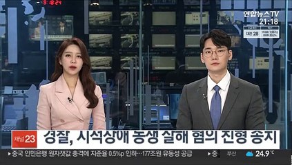 경찰, 지적장애 동생 살해 혐의 친형 송치
