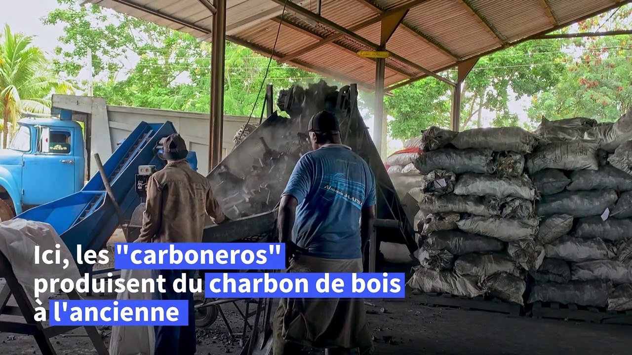 Au coeur de Cuba, du charbon de bois produit à l'ancienne