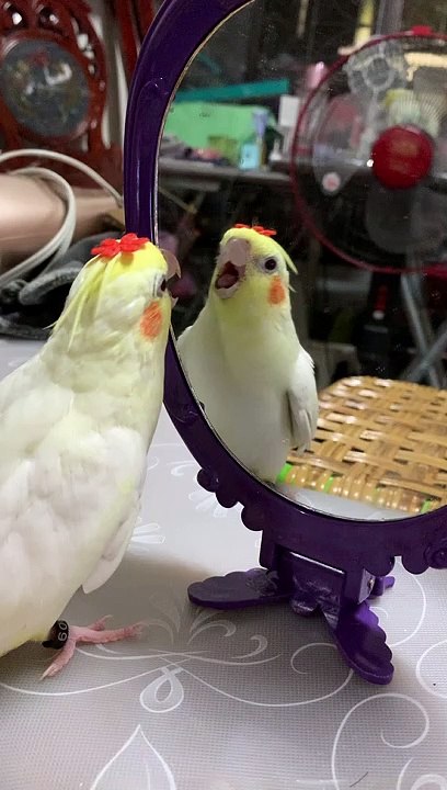 Bird Overwhelmed by Own Cuteness