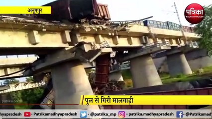 ANUPPUR: अजान नदी में गिरे मालगाड़ी के 15-20 डिब्बे