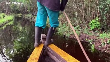Cuba hace frente a su crisis económica reimpulsando la producción de carbón vegetal