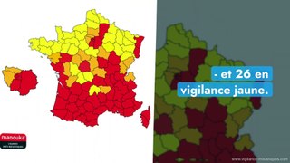 Progression du moustique-tigre en France : comment s’en protéger ?