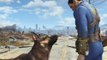 Xbox and Bethesda donate to animal charity in honour of Fallout 4's Dogmeat