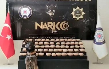 Van'da 62 kilo 700 gram toz esrar ele geçirildi