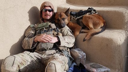 This Pet Store Chain is Raising Money for America’s Military Working Dogs