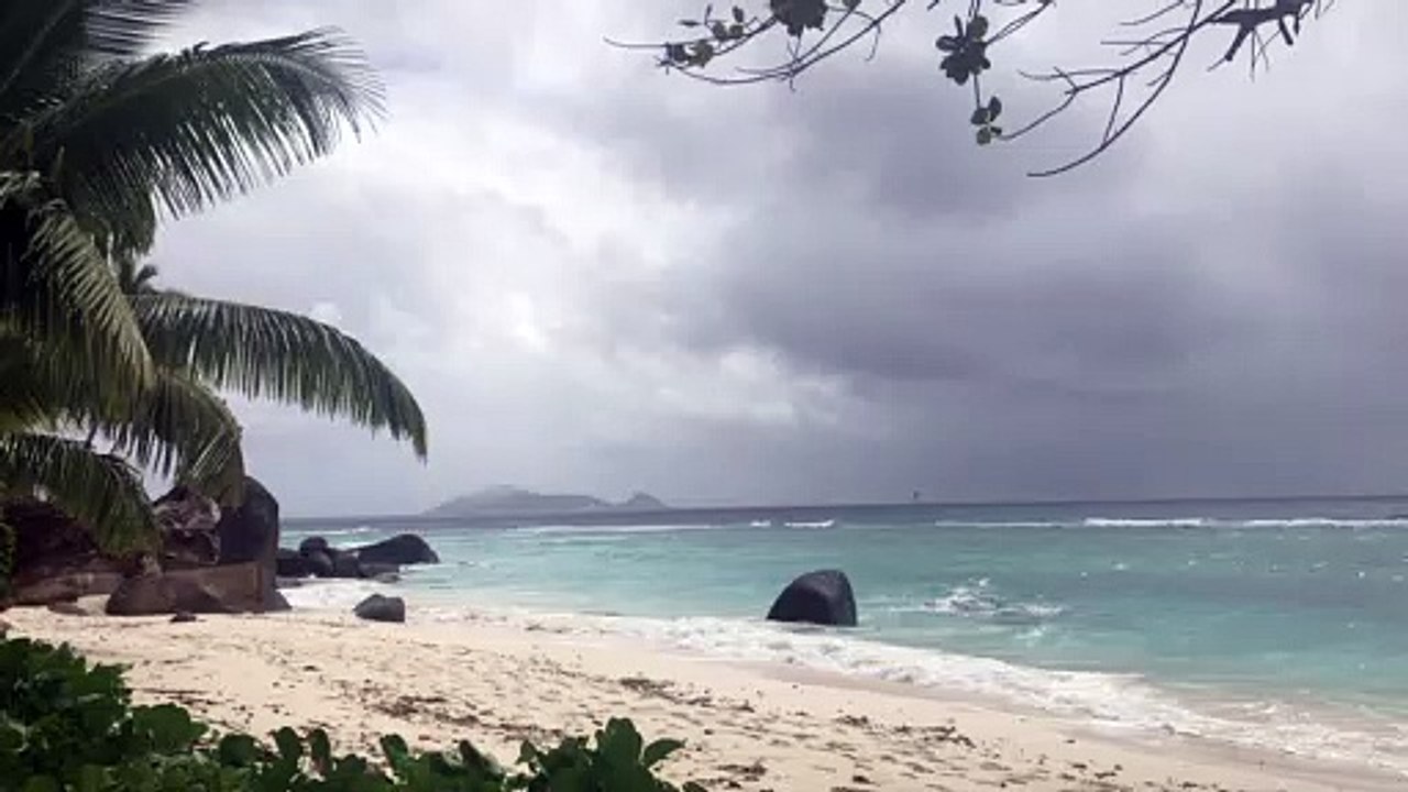 هل تحلم بالغابات المورقة وأشجار النخيل المتمايلة والشواطئ ذات الرمال البيضاء النقية، كل ذلك وسط الاستمتاع برفاهية مطلقة؟