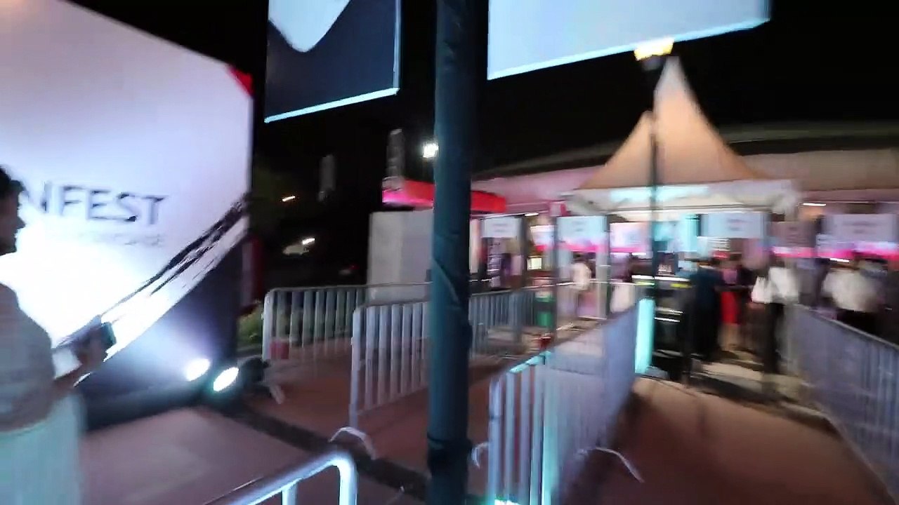 Youtube FanFest 2018 Delhi with CarryMinati