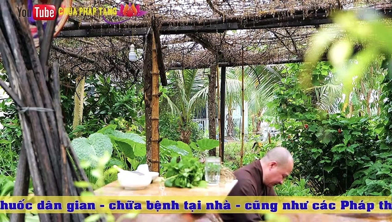Bài Thuốc Dân Gian Trị Ho Tại Nhà, Ho Khan, Ho Có Đờm Nặng Mấy Cũng Khỏi  Chùa Pháp Tạng