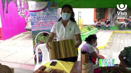 Inafor en conjunto con emprendedores realizan Expo Feria Forestal en Estelí