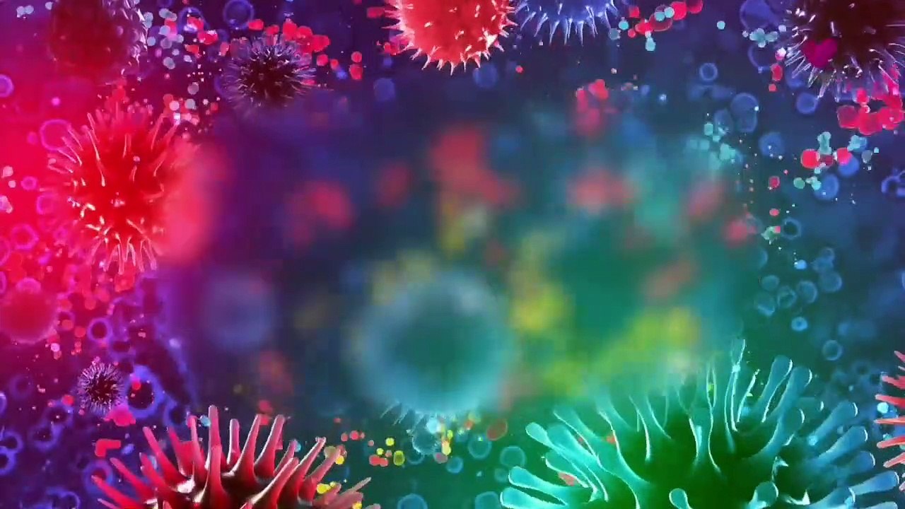 Vibe TV (17)