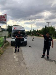 Son dakika haberi... Ambulanstan çıkanı görenler gözlerine inanamadı