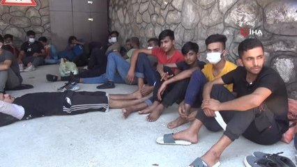 Fethiye'de 82 kaçak göçmen yakalandı