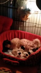 time check:3:28am padede pa rin