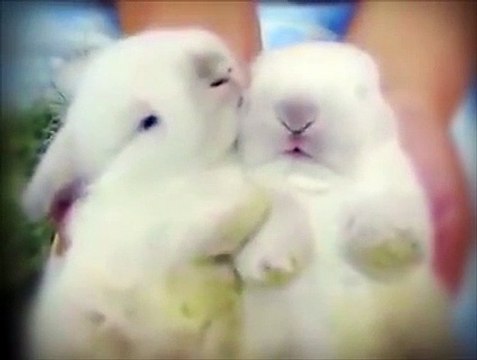 Sevginin böylesi...