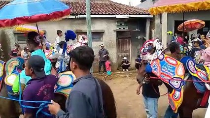 Kuda Renggong Sumedang
