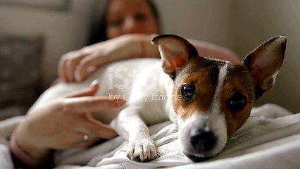 I Love Mornings Like This Stock Video