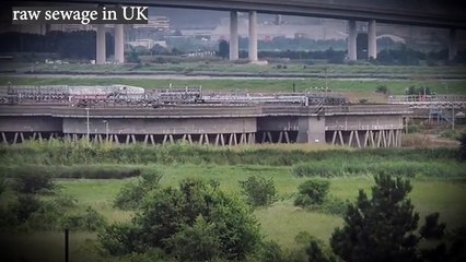 Southern water fined record £90m for dumping raw sewage in UK