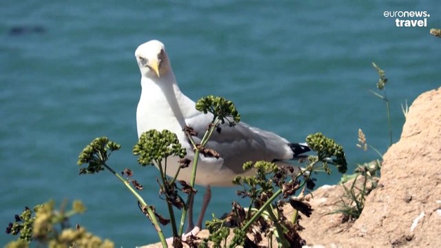 These French lighthouses are being turned into holiday accommodation along the Brittany coast