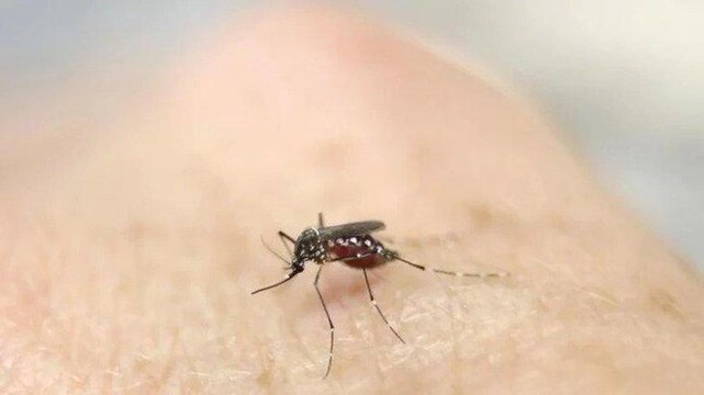 Kerala on high alert as Zika virus cases rise to 15