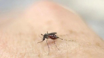Kerala on high alert as Zika virus cases rise to 15