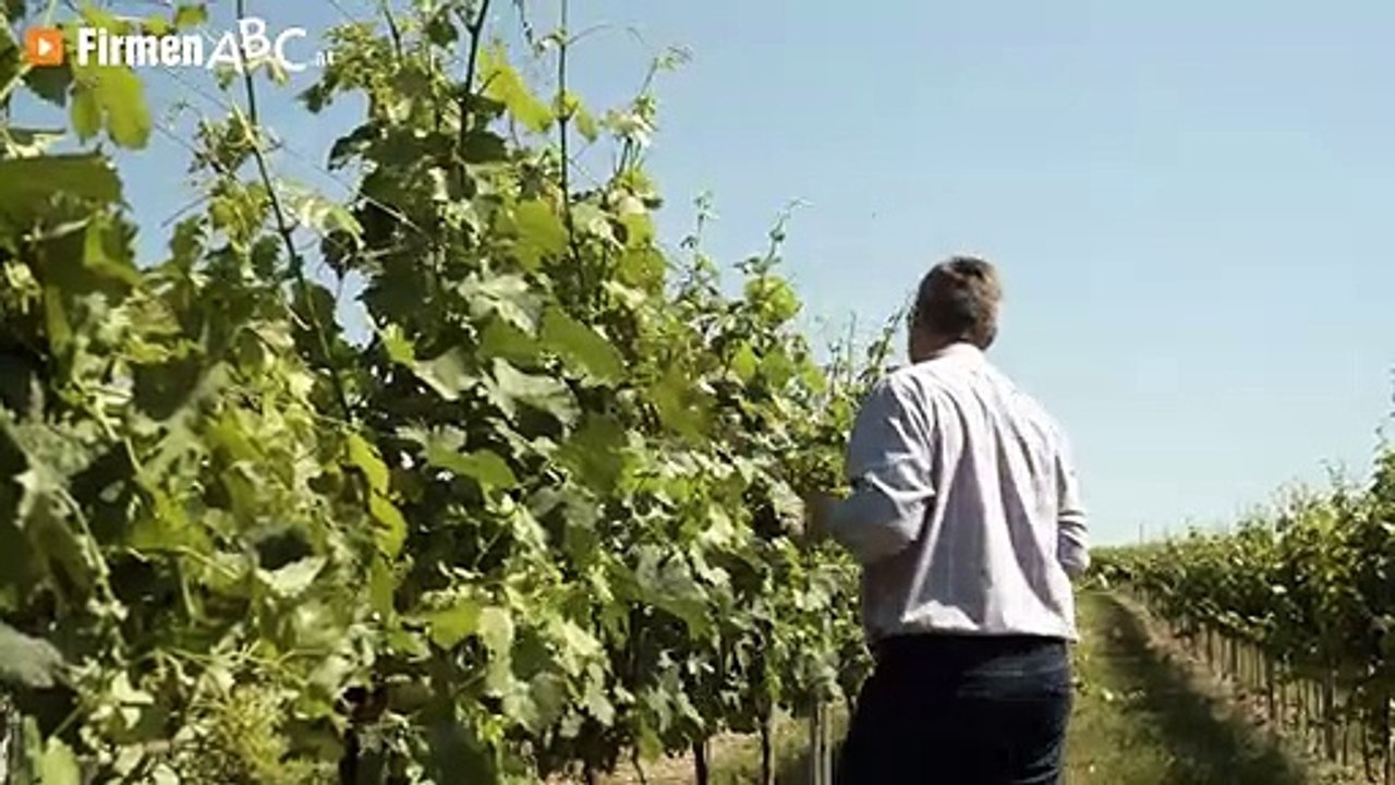 Bio Weingut Zöchmann in Sitzendorf an der Schmida – Ihre Buschenschank mit hochwertigen Bioweinen