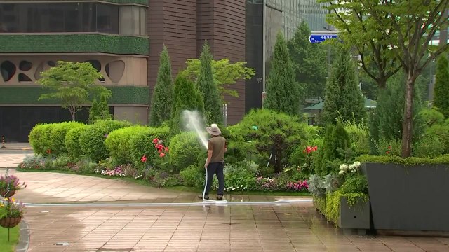 [날씨] 내일 '초복', 폭염특보 속 강한 소나기...밤사이 열대야 / YTN