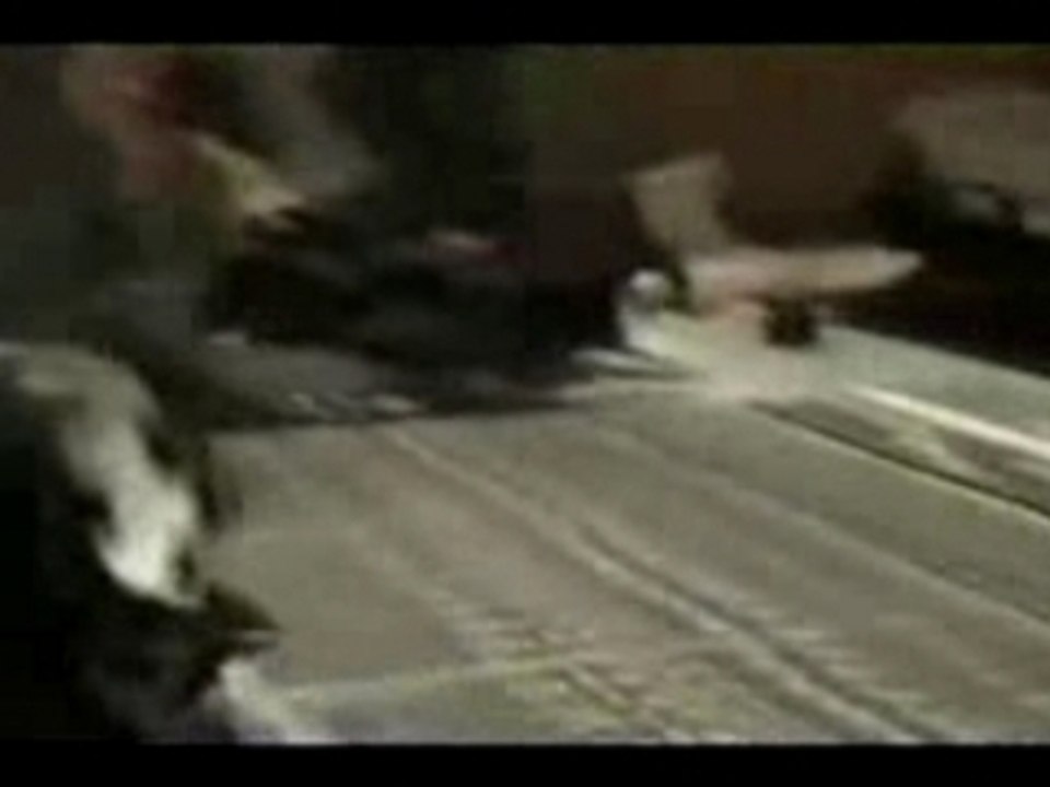 Tupac shakur  interview of Tabitha Soren in 1995 second part