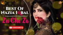 Nazia Iqbal Pashto New Song | Za Che Zo | Spice Media
