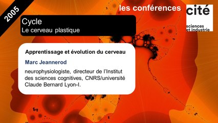 Apprentissage et évolution du cerveau