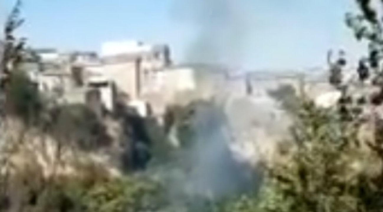 Tufara (CB) - Incendio di vegetazione domato dai Vigili del Fuoco (10.07.21)