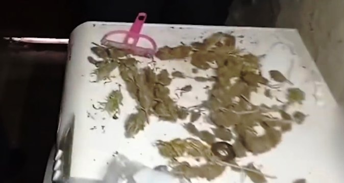Joppolo (VV) - Laboratorio di marijuana in un casolare: arrestato 26enne (10.07.21)