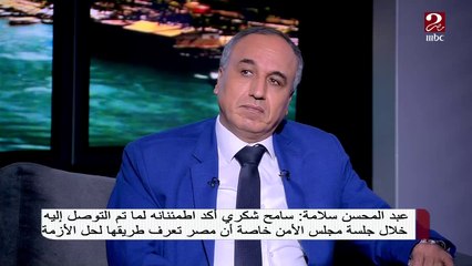 عبد المحسن سلامة : جامعة الدول العربية كان لها موقف قوي فى مساندة مصر والسودان