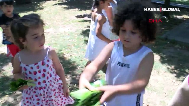 İstanbul'da sivrisinek kabusu büyüyor! İBB'den uyarı geldi