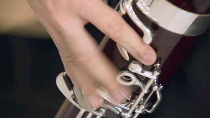 따뜻하고 목가적인..."바순의 매력에 빠져 보세요" / YTN