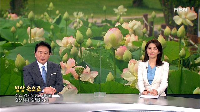 7월 10일 MBN 종합뉴스 클로징