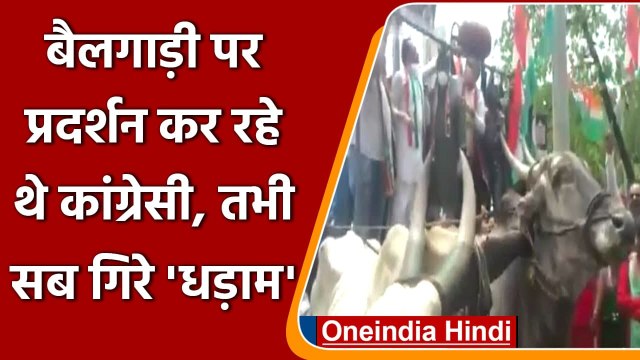 Mumbai में पेट्रोल की कीमतों के खिलाफ Congres के प्रदर्शन में टूटी Bullock cart | वनइंडिया हिंदी