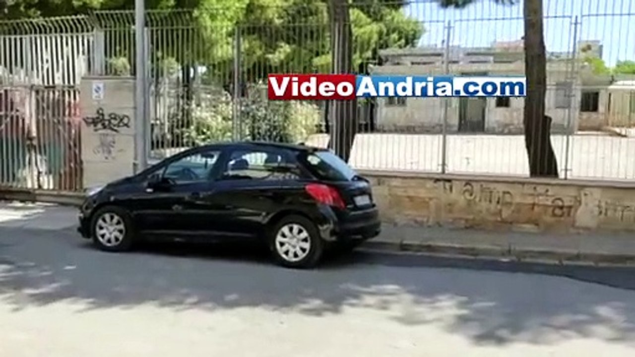 "Andria il gatto era ancora vivo ma è morto dopo agonia, nessuno lo ha soccorso" - la rabbia dei volontari "perchè quel cancello non si può aprire in caso di emergenza?" - video