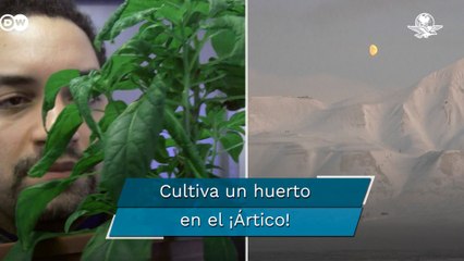 Lo creían loco por querer cultivar en un lugar en el que no sale el sol durante 3 meses