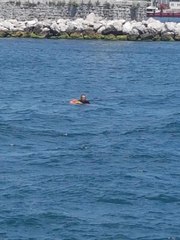 Kadıköy-Eminönü seferini yapan yolcu vapurundan düşen kişi kurtarıldı