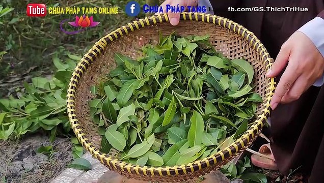 Trị Bướu Cổ - Bướu Tuyến Giáp Vô Cùng Đơn Giản Chùa Pháp Tạng. #09